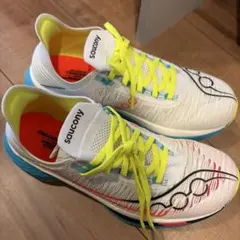 エンドルフィンエリート2 Endorphin Elite2 26.0cm