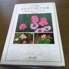 Item thumbnail for item 086ad3ed-de16-4fe0-8ccb-43851583cfd9