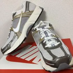 NIKE AIR ZOOM VOMERO 5 シルバーゴールド 29.5cm