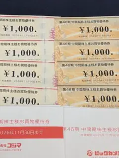 ビックカメラ　コジマ　株主優待　8000円分
