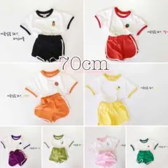 〚 新品 〛フルーツセットアップ 7色展開 70cm