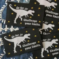 Item thumbnail for item a7ac5b14-5c19-438c-9eca-dc73b989a27f