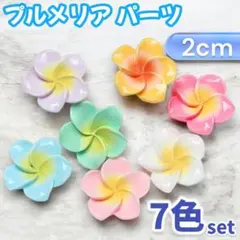 2026年最新】プルメリア パーツの人気アイテム - メルカリ