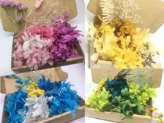 2セット(二箱)選べるハーバリウム花材ドライフラワー  花材詰め合わせ