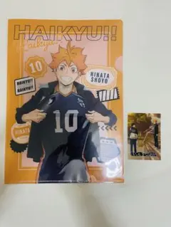 ハイキュー　限定カード　日向翔陽　クリアファイル