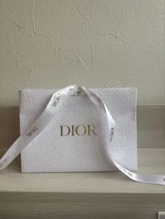 Dior ホワイト フラグメントケース