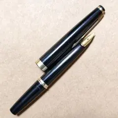 PARKER 51 スペシャル オクタニウムニブ - メルカリ