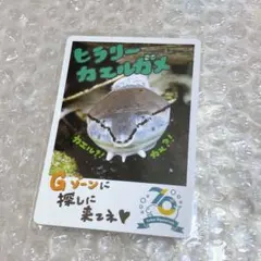 2026年最新】鳥羽水族館 70周年の人気アイテム - メルカリ