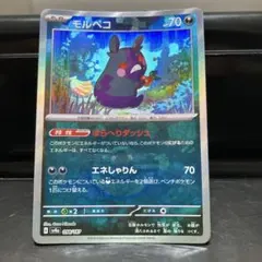 モルペコ SV8a テラスタルフェスex 098/187 マスターボール ミラー
