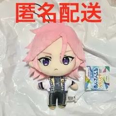 新品未使用 クレビこはく21体セット あんさんぶるスターズ‼︎ぬいぐるみ あんさんぶるスターズ！ あんスタ 新衣装 ぬいぐるみ クレビ 桜河