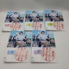 誰よりもママを愛す DVD 全巻 セット ドラマ 田村正和 内田有紀 玉山