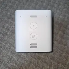 Echo Flex (エコーフレックス) プラグイン式スマートスピーカー