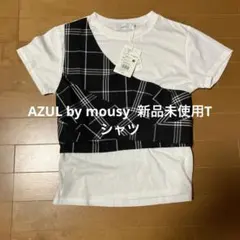 AZUL by moussy新品未使用Tシャツ