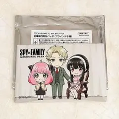 SPY×FAMILY アーニャ ロイド ヨル わくわくパーク 缶バッジ