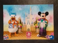ディズニー スペシャルフォト 2021お正月ランド ミッキー＆ドナルド