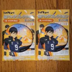 ハイキュー‼︎　横断幕　グリッター缶バッジ　影山飛雄　2個セット