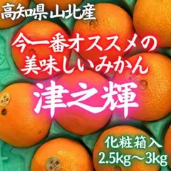 2025年最新】津之輝 みかんの人気アイテム - メルカリ
