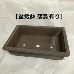 盆栽鉢 常滑焼 山源 12号 - メルカリ