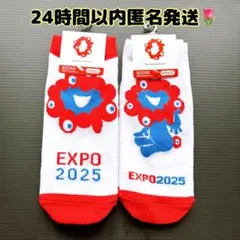 ♡ ミャクミャク EXPO2025 関西万博 ソックス 靴下 ① 23〜25cm