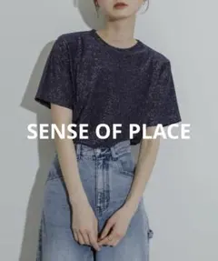 SENSE OF PLACE ラメカットソー　ネイビーのサムネイル