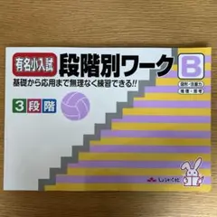 お値下げしました　有名小入試　段階別ワーク B