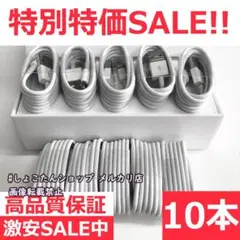 ipad mini じゅうでんき 純正 対応 正規品 同等 10本