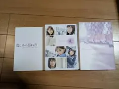 Item thumbnail for item 1b1f072d-29de-45f2-af86-07c559fc973d