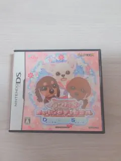 ワンタメ DS ソフト カードリーダー - メルカリ