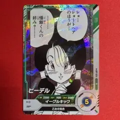 アドバンスパック ビーデル R APT-024