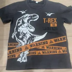 恐竜 T-REX Tシャツ 120cm