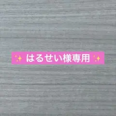 はるせい様 リクエスト 4点 まとめ商品