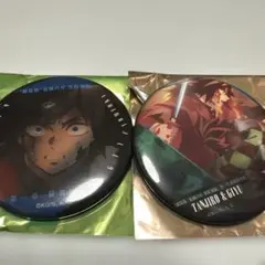 鬼滅の刃無限城編ものがたる目差し背中コレクション缶バッジA 竈門炭治郎 冨岡義勇
