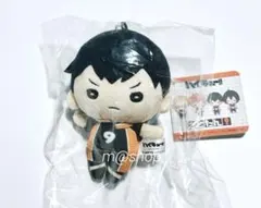 ハイキュー　にとたん　思い出　日向影山　未開封 にとたん ハイキュー!!ボールチェーン付ぬいぐるみ 影山｜商品情報