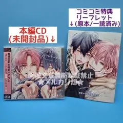 ビタープレイメイト2 ドラマCD BLCD コミコミ特典リーフレット付き
