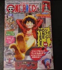 ワンピースマガジン20号　プロモカード付録付き