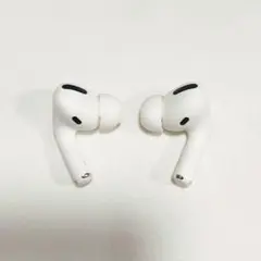 Apple AirPods Pro 両耳のみ LR 527