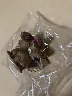 バトルスナップモンスター ソフビ キングギドラ ゴジラ