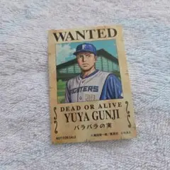 ファイターズ ワンピース ステッカー 郡司裕也