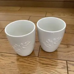 Item thumbnail for item e1d25031-8ee5-4d6b-8a5e-dc22b224e226