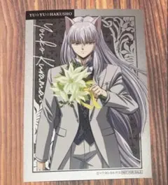 幽遊白書 ポストカード メディコス 妖狐蔵馬