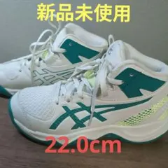 ASICS DUNKSHOT バスケットシューズ US 3