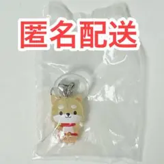 JOCHUM めじるしアクセサリー2 まめちぃ