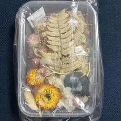 【新品未使用】 ドライフラワー