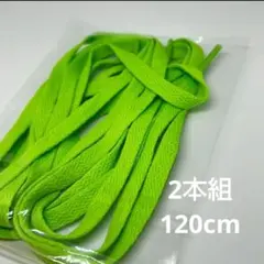 靴紐 120cm ナイキ アディダス ニューバランス スニーカー 平紐 2本 緑