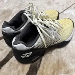 Item thumbnail for item 5a56721a-27ef-452b-bf55-bb1f47b6465b