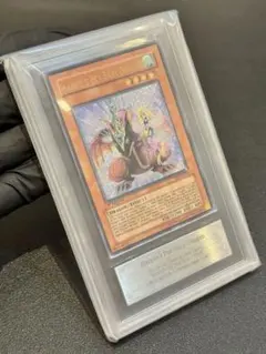 遊戯王　ハーピィズペット仔竜　旧アジアレリーフ　psa10 遊戯王 ハーピィズペット仔竜 旧アジアレリーフ psa10 - メルカリ
