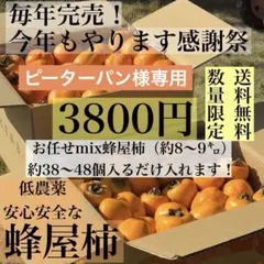 Britannia様　やわらか枯露柿　至高の大蜂屋　絶品甲州百目　　計2kg Britannia様 やわらか枯露柿 至高の大蜂屋 絶品甲州百目 計2kg