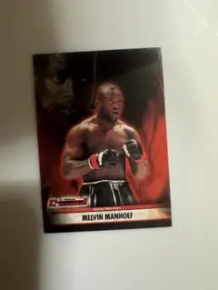 セーム・シュルト トレーディングカード Dynamite 総合格闘技 MMA 