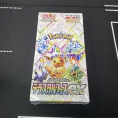 Winterさん専用　テラスタルフェスex シュリンク付き1ボックス