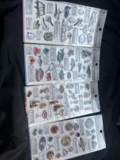 大人の図鑑3Dシールセット